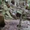 DSC_115.JPG